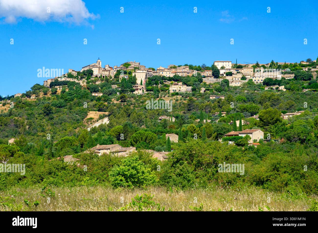France, Vaucluse, Parc naturel régional du Luberon (parc naturel régional du Luberon), Gordes, a certifié les plus beaux villages de France (les plus Beaux villages de France), le village perché sur un éperon rocheux dominé par son château Renaissance et son église romane St Firmin Banque D'Images