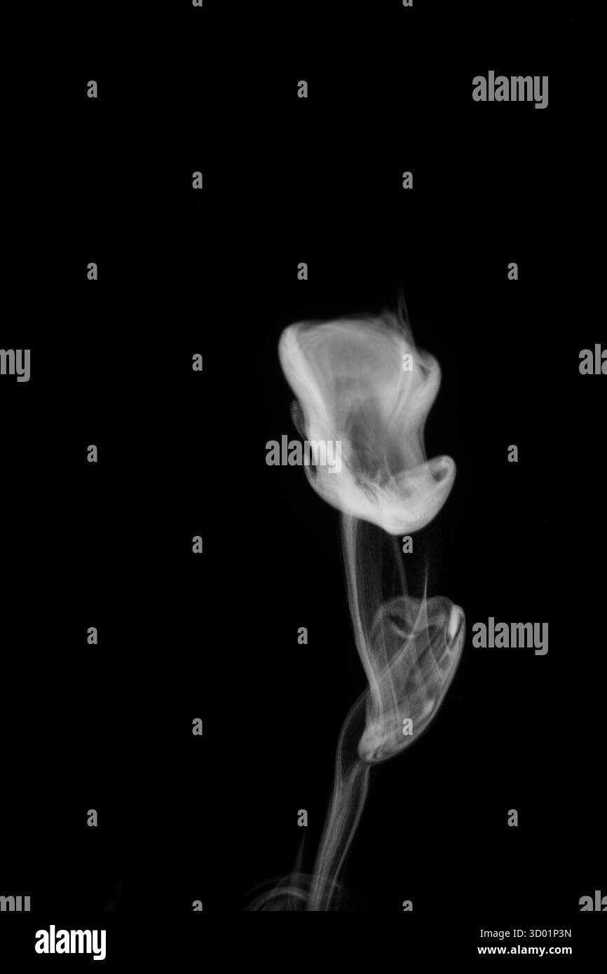 Vue rapprochée de la vapeur d'eau blanche avec pulvérisation de l'humidificateur. Isolé sur fond noir. fumée de vapeur sur fond noir. Fumée blanche fantaisie. Banque D'Images