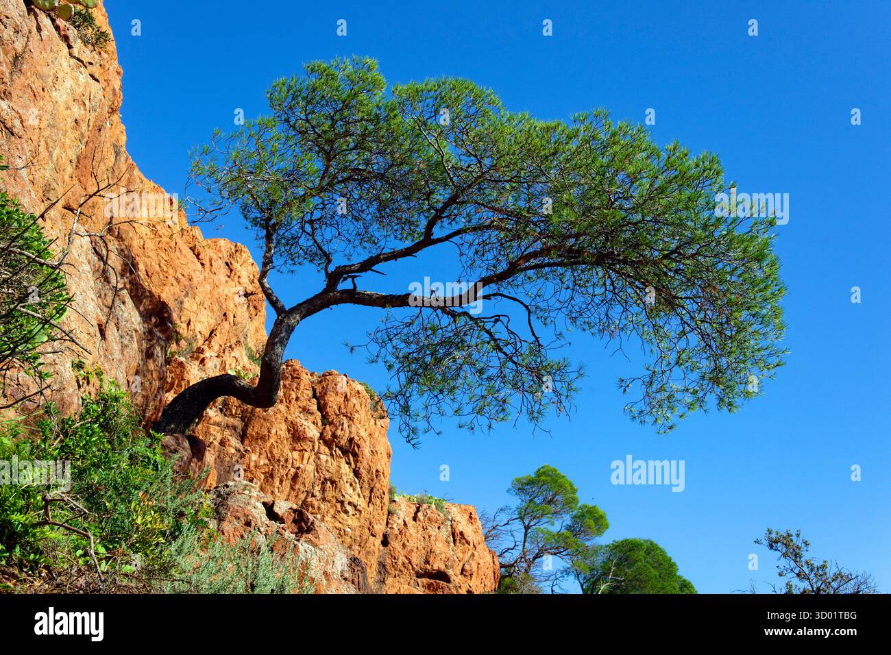 France, Var, Saint Raphaël, massif de l'Esterel, Corniche d'Or ou Corniche de l'Esterel, Cap Dramont Banque D'Images