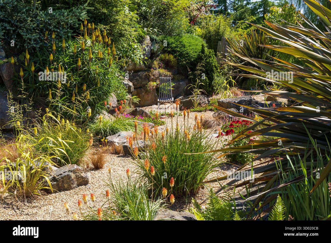 France, côtes d'Armor, Plouec du Trieux, les jardins du Kerfouler, jardin remarquable, jardin avec un goût de soleil, Red Hot Poker, kniphofia uvaria (Asphodelaceae) Banque D'Images France, côtes d'Armor, Plouec du Trieux, les jardins du Kerfouler, jardin remarquable, jardin avec un goût de soleil, Red Hot Poker, kniphofia uvaria (Asphodelaceae) Banque D'Images