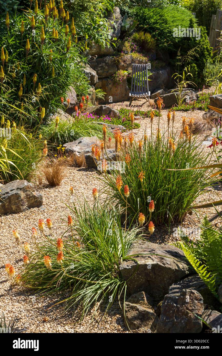 France, côtes d'Armor, Plouec du Trieux, les jardins du Kerfouler, jardin remarquable, jardin avec un goût de soleil, Red Hot Poker, kniphofia uvaria (Asphodelaceae) Banque D'Images France, côtes d'Armor, Plouec du Trieux, les jardins du Kerfouler, jardin remarquable, jardin avec un goût de soleil, Red Hot Poker, kniphofia uvaria (Asphodelaceae) Banque D'Images