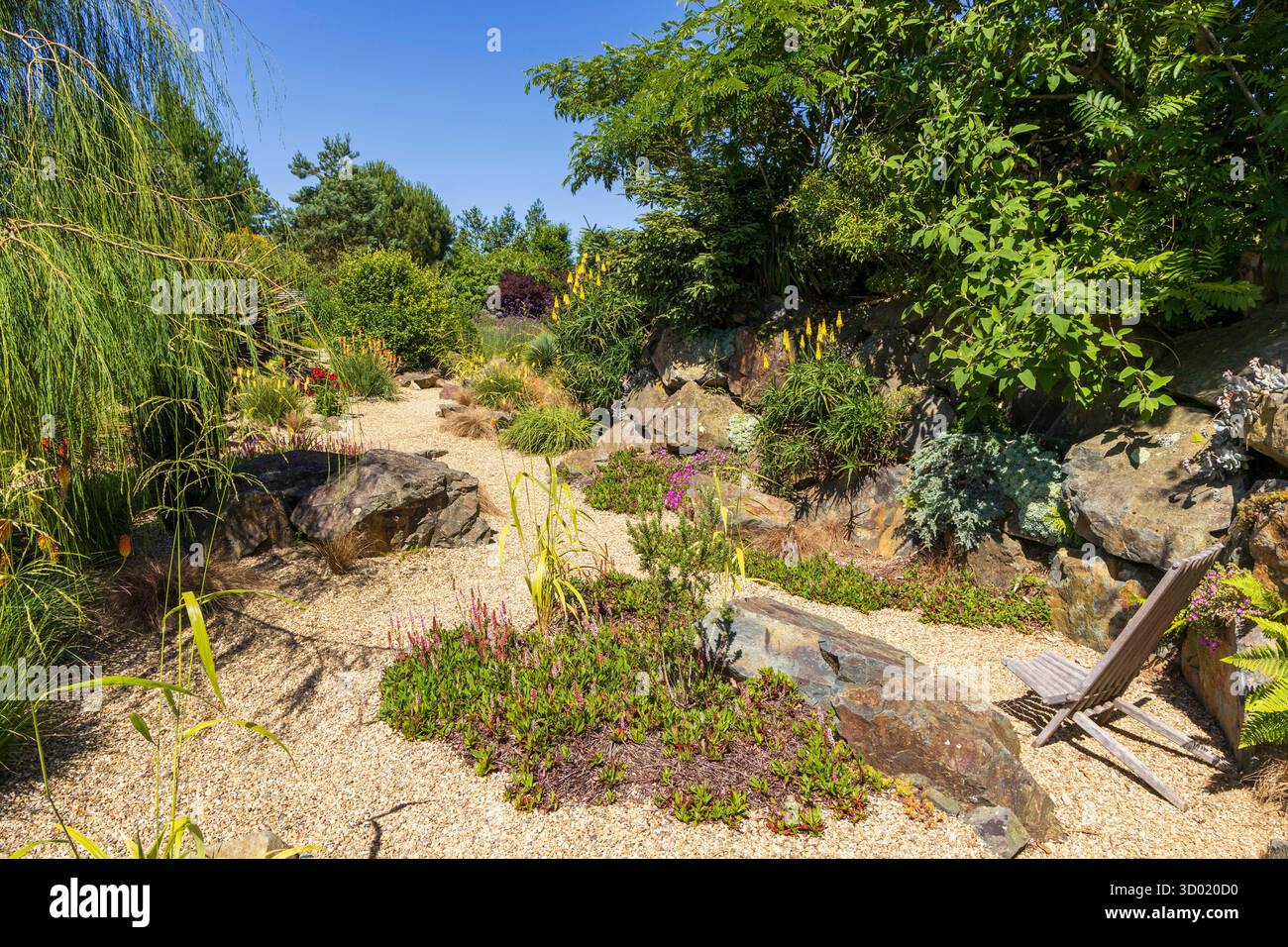France, côtes d'Armor, Plouec du Trieux, les jardins du Kerfouler, jardin remarquable, jardin avec un goût de soleil, Red Hot Poker, kniphofia uvaria (Asphodelaceae) Banque D'Images France, côtes d'Armor, Plouec du Trieux, les jardins du Kerfouler, jardin remarquable, jardin avec un goût de soleil, Red Hot Poker, kniphofia uvaria (Asphodelaceae) Banque D'Images