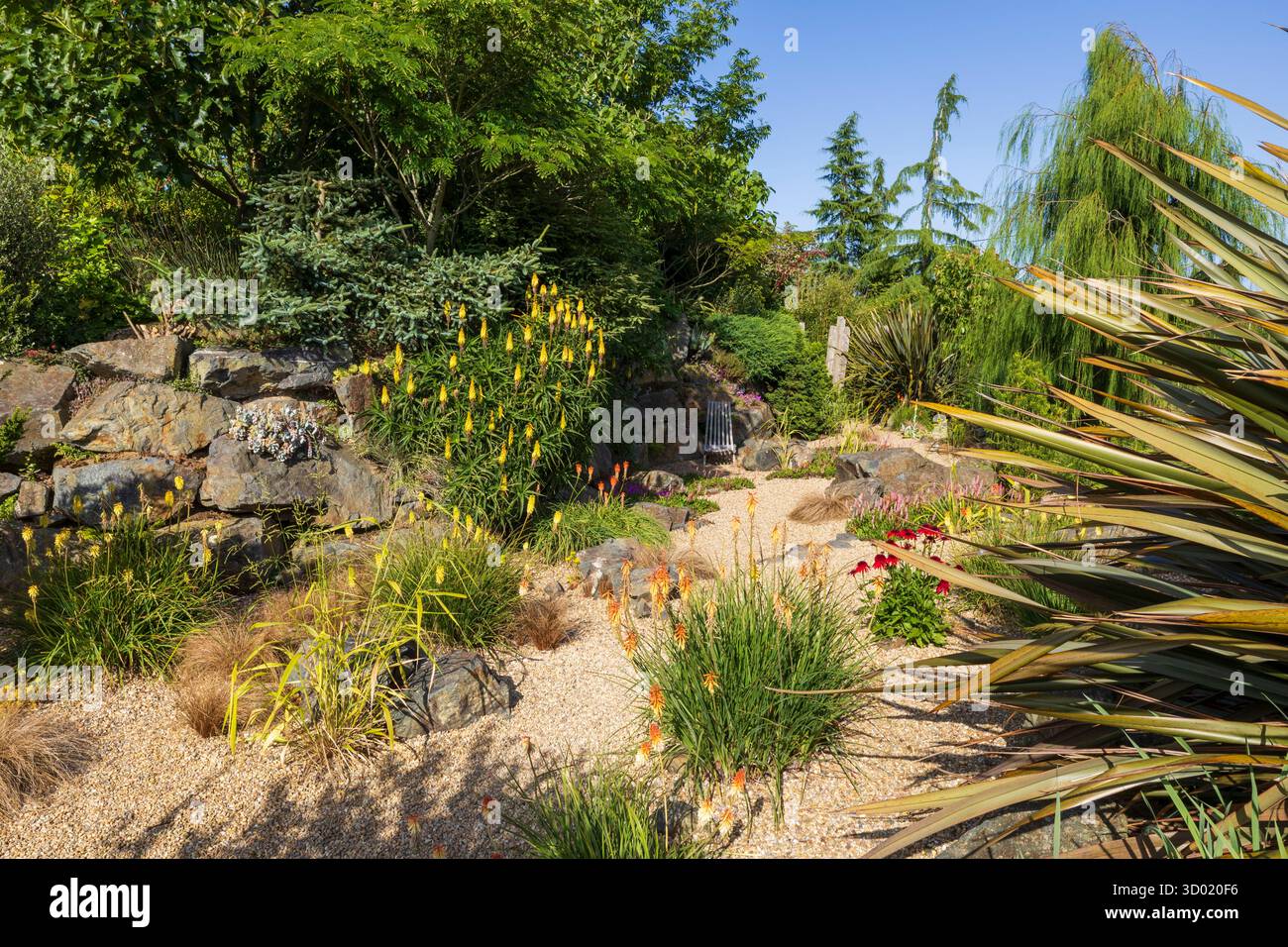 France, côtes d'Armor, Plouec du Trieux, les jardins du Kerfouler, jardin remarquable, jardin avec un goût de soleil, Red Hot Poker, kniphofia uvaria (Asphodelaceae) Banque D'Images France, côtes d'Armor, Plouec du Trieux, les jardins du Kerfouler, jardin remarquable, jardin avec un goût de soleil, Red Hot Poker, kniphofia uvaria (Asphodelaceae) Banque D'Images