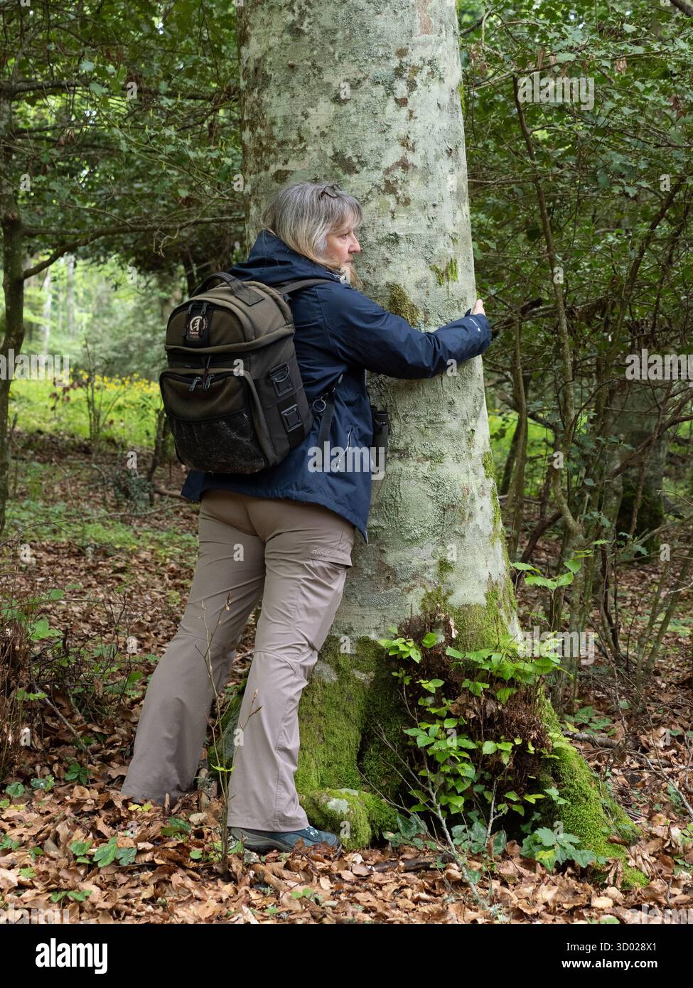 Femme embrassant l'arbre, forêt Umbra Woodland, région du Gargano, Pouilles, Italie Banque D'Images