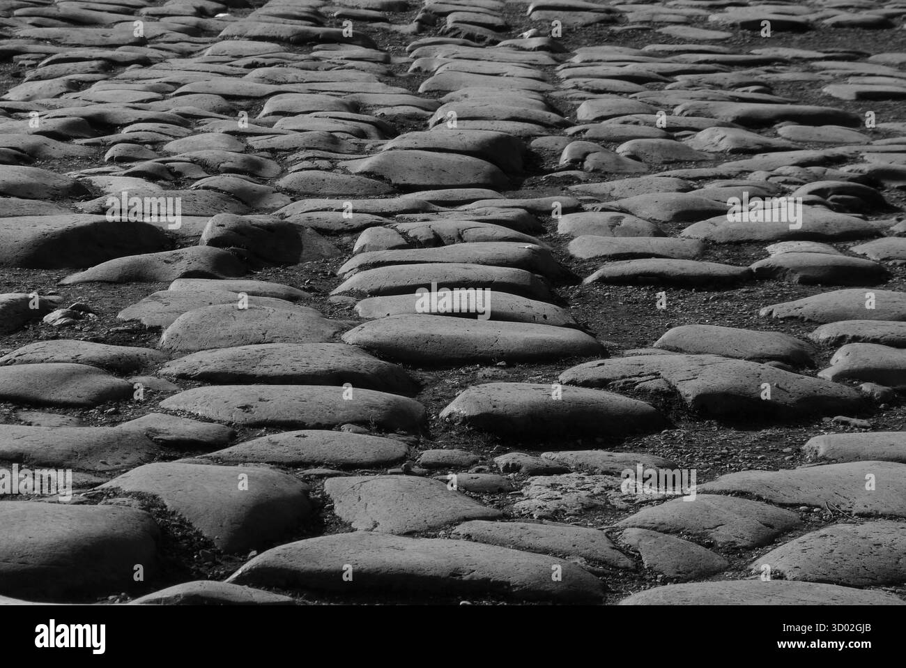 La via Sacra, datant du vie siècle av. J.-C., était le principal chemin sacré de Rome à travers le Forum romain, utilisé pour les marches triomphales et les cérémonies religieuses. Banque D'Images