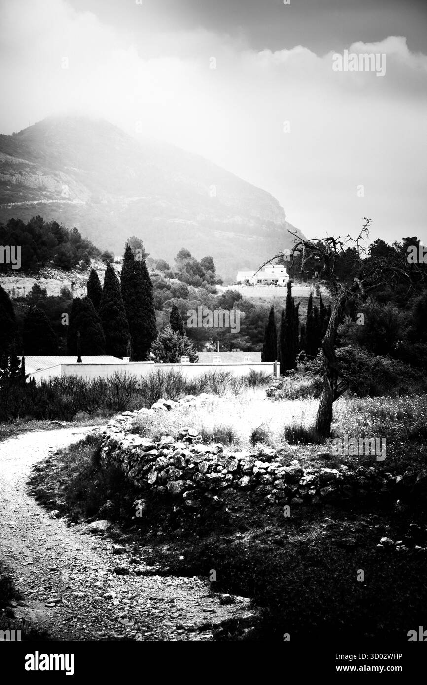 Une représentation monochromatique captivante d'un sentier rustique serpentant à travers un environnement naturel avec des montagnes lointaines. Parfait pour évoquer la tranquillité Banque D'Images