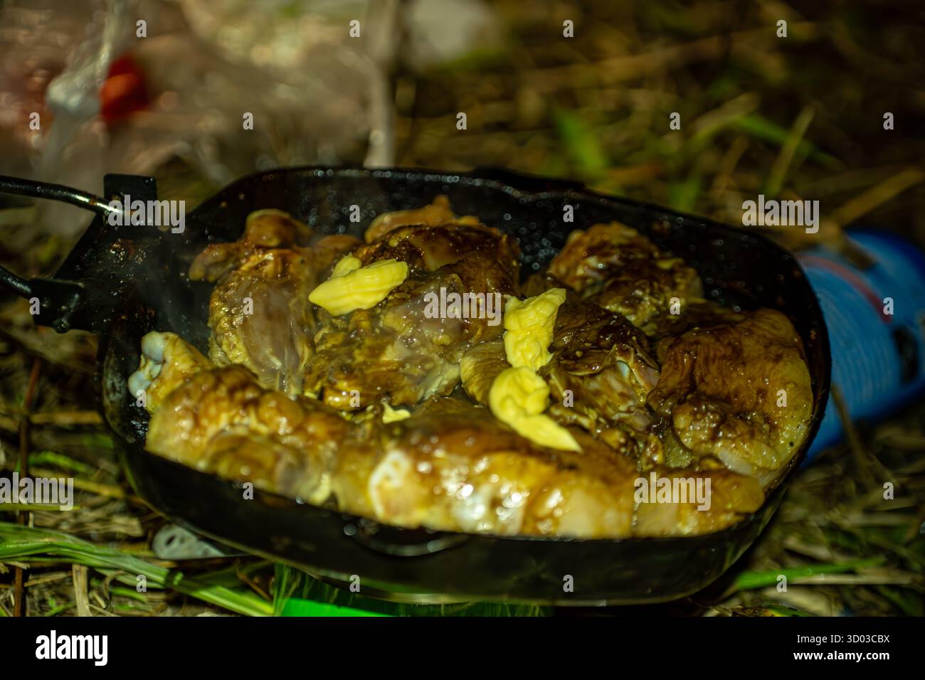 Cette image alléchante met en valeur des morceaux de poulet grillé parfaitement marinés. La couleur brun doré et les bords carbonisés promettent un délicieux repas. Banque D'Images