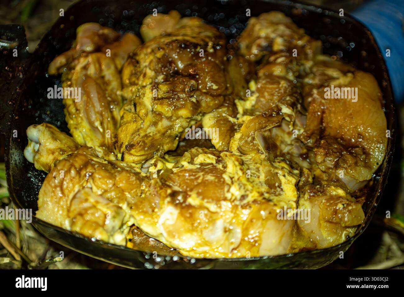 Cette image alléchante met en valeur des morceaux de poulet grillé parfaitement marinés. La couleur brun doré et les bords carbonisés promettent un délicieux repas. Banque D'Images