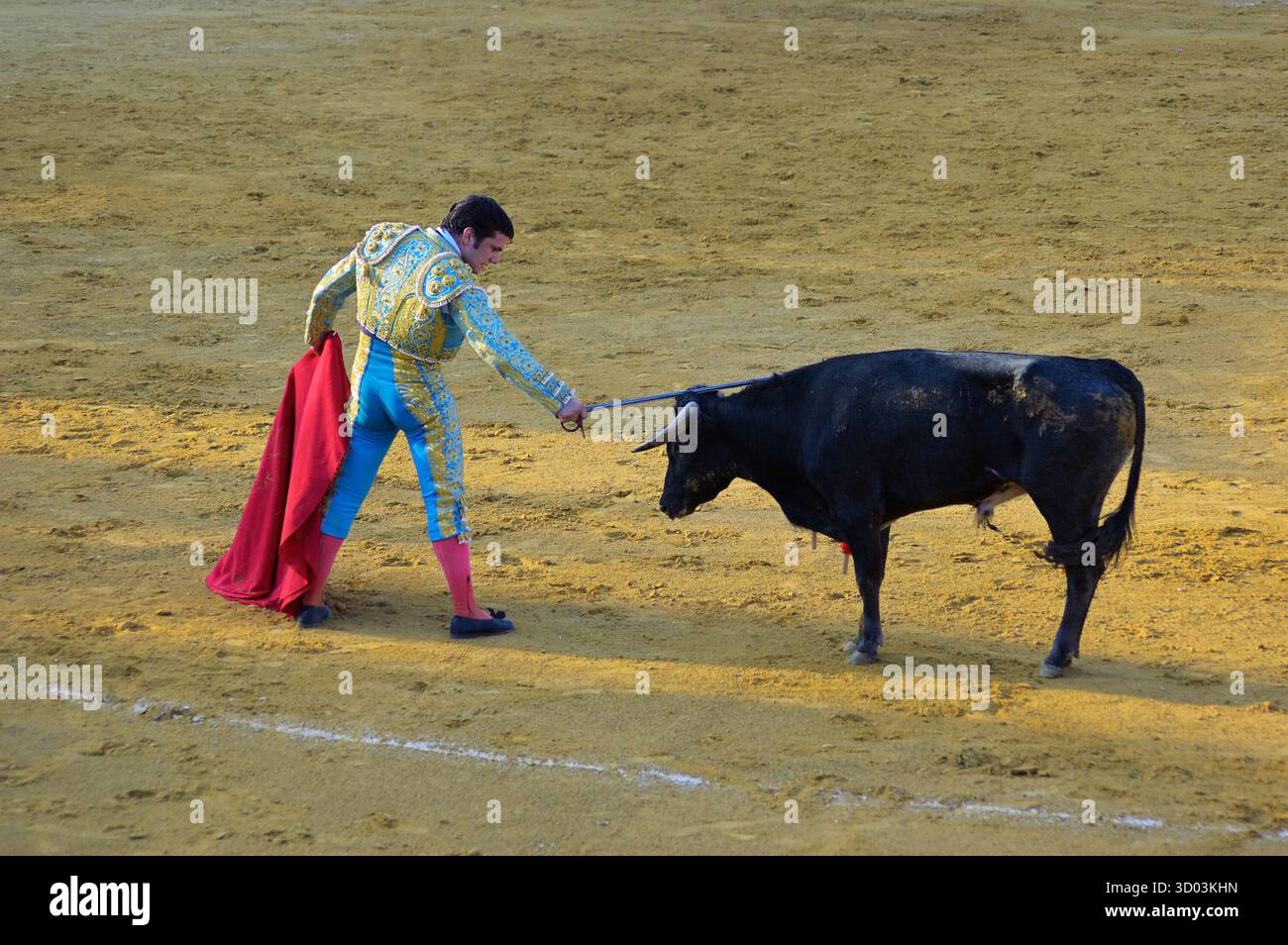 Benalmadena, Espagne - 13 août 2006 : Corrida divertissement espagnol typique - tauromachie. Torero non identifié combat contre un taureau. Andalousie Banque D'Images