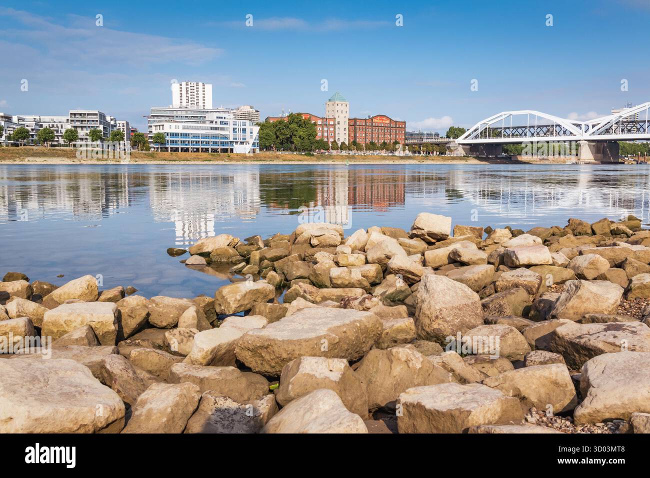 Rhin avec pont Konrad Adenauer - traversée du Rhin entre les villes allemandes de Mannheim et Ludwigshafen am Rhein Banque D'Images