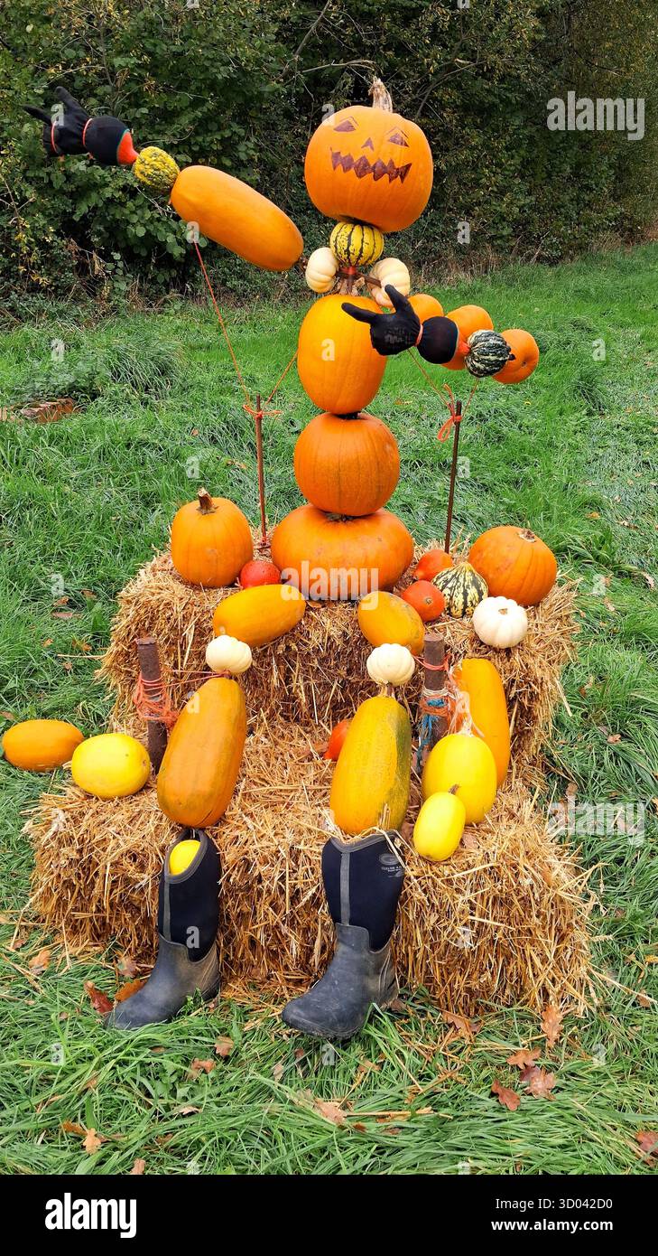 Potiron homme décoration d'Halloween faite de citrouilles assorties Banque D'Images
