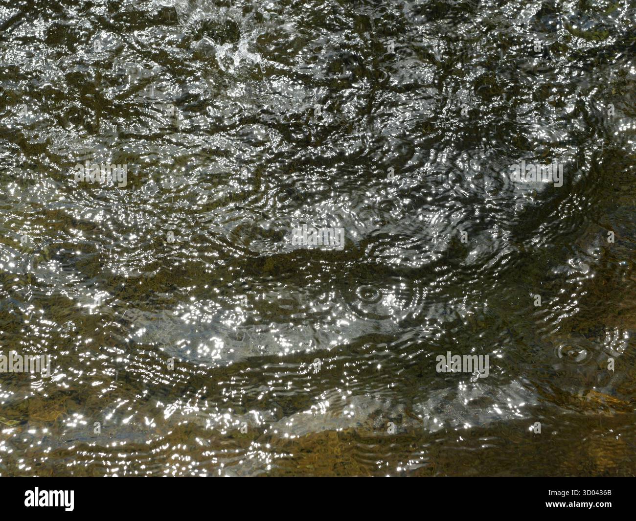 Surface de l'eau avec des reflets étincelants de la lumière du soleil et de petites ondulations. Gros plan. Banque D'Images