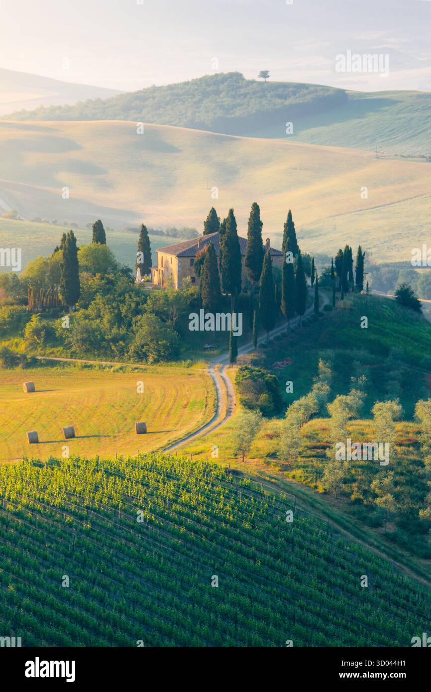 Val d'Orcia, Toscane, Italie. Une ferme isolée de cyprès et d'oliviers, de collines. Banque D'Images