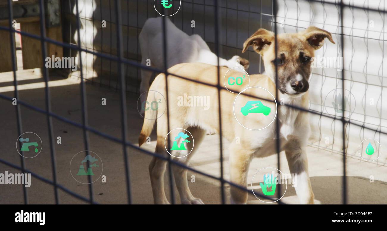 Chiot brun clair et blanc debout regardant à travers la clôture métallique dans le stylo d'abri, icônes numériques Banque D'Images