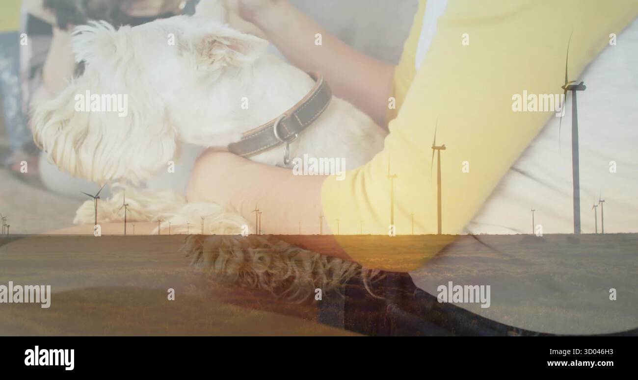 Assis petit chien blanc avec collier en cuir occupant les genoux à la maison, avec des éoliennes, espace copie Banque D'Images