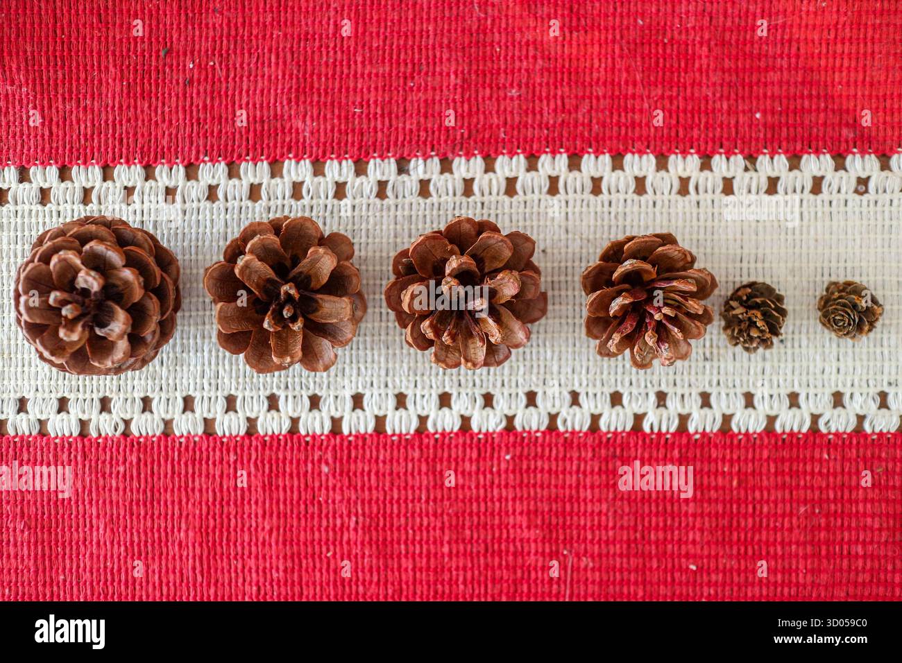 Cônes de pin diminuant en taille sur tissu rouge/blanc. Décor naturel de Noël, décor de vacances d'hiver et cartes de voeux saisonnières. Banque D'Images
