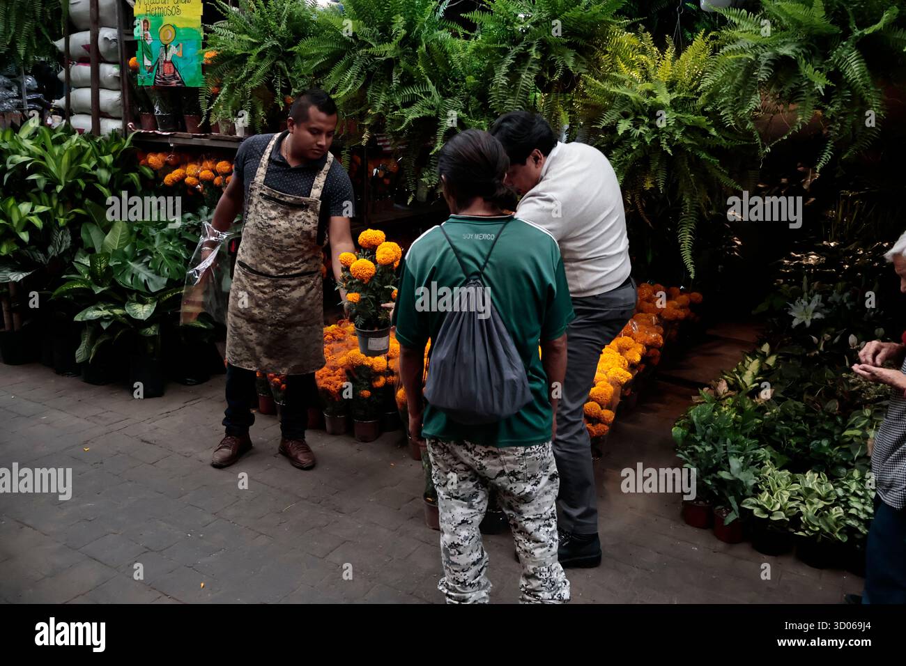 Mexique, CDMX, Mexique. 21 octobre 2025. La plupart d’entre eux proviennent de Xochimilco et de l’état de Puebla, où ils sont récoltés sans pots. Des centaines ou des milliers de familles commenceront à arriver au marché jamaïcain, le principal marché aux fleurs, mais le plus important de cette saison. Ils viennent dans une variété de tailles et de prix ; les vendeurs offrent leurs fleurs aux clients afin qu'ils puissent les placer sur des autels dans leurs maisons où ils se souviennent de leurs proches, et avec la couleur et l'arôme des fleurs de Cempasuchil, ils peuvent leur rendre visite année après année. (Crédit image : © Josue Perez/ZUMA Press Wire) EDITORI Banque D'Images