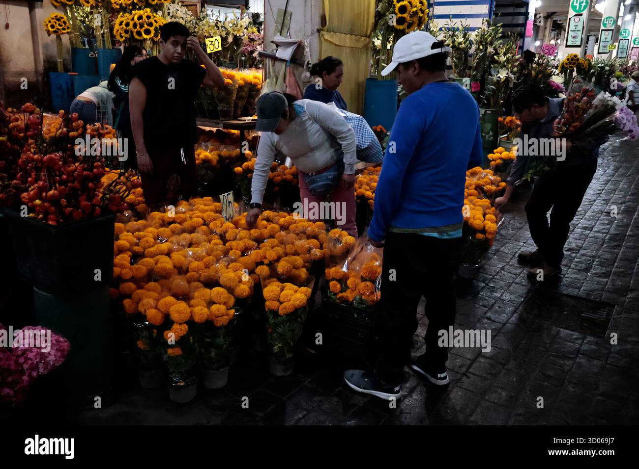 Mexique, CDMX, Mexique. 21 octobre 2025. La plupart d’entre eux proviennent de Xochimilco et de l’état de Puebla, où ils sont récoltés sans pots. Des centaines ou des milliers de familles commenceront à arriver au marché jamaïcain, le principal marché aux fleurs, mais le plus important de cette saison. Ils viennent dans une variété de tailles et de prix ; les vendeurs offrent leurs fleurs aux clients afin qu'ils puissent les placer sur des autels dans leurs maisons où ils se souviennent de leurs proches, et avec la couleur et l'arôme des fleurs de Cempasuchil, ils peuvent leur rendre visite année après année. (Crédit image : © Josue Perez/ZUMA Press Wire) EDITORI Banque D'Images
