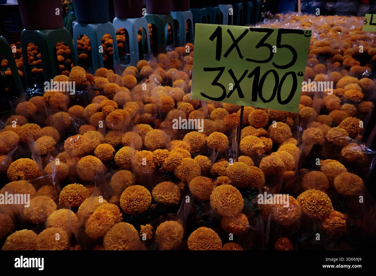 Mexique, CDMX, Mexique. 21 octobre 2025. La plupart d’entre eux proviennent de Xochimilco et de l’état de Puebla, où ils sont récoltés sans pots. Des centaines ou des milliers de familles commenceront à arriver au marché jamaïcain, le principal marché aux fleurs, mais le plus important de cette saison. Ils viennent dans une variété de tailles et de prix ; les vendeurs offrent leurs fleurs aux clients afin qu'ils puissent les placer sur des autels dans leurs maisons où ils se souviennent de leurs proches, et avec la couleur et l'arôme des fleurs de Cempasuchil, ils peuvent leur rendre visite année après année. (Crédit image : © Josue Perez/ZUMA Press Wire) EDITORI Banque D'Images