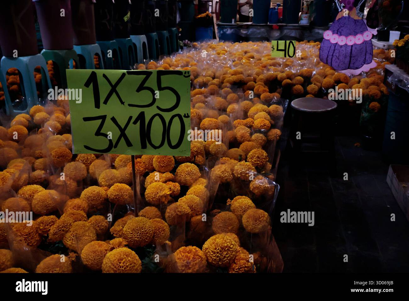 Mexique, CDMX, Mexique. 21 octobre 2025. La plupart d’entre eux proviennent de Xochimilco et de l’état de Puebla, où ils sont récoltés sans pots. Des centaines ou des milliers de familles commenceront à arriver au marché jamaïcain, le principal marché aux fleurs, mais le plus important de cette saison. Ils viennent dans une variété de tailles et de prix ; les vendeurs offrent leurs fleurs aux clients afin qu'ils puissent les placer sur des autels dans leurs maisons où ils se souviennent de leurs proches, et avec la couleur et l'arôme des fleurs de Cempasuchil, ils peuvent leur rendre visite année après année. (Crédit image : © Josue Perez/ZUMA Press Wire) EDITORI Banque D'Images