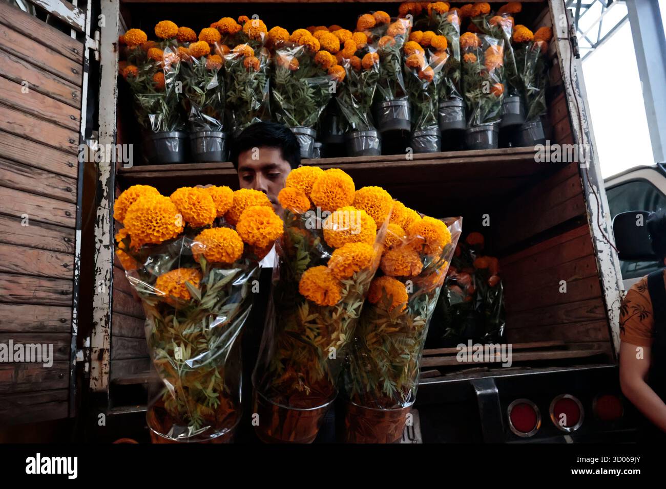 Mexique, CDMX, Mexique. 21 octobre 2025. La plupart d’entre eux proviennent de Xochimilco et de l’état de Puebla, où ils sont récoltés sans pots. Des centaines ou des milliers de familles commenceront à arriver au marché jamaïcain, le principal marché aux fleurs, mais le plus important de cette saison. Ils viennent dans une variété de tailles et de prix ; les vendeurs offrent leurs fleurs aux clients afin qu'ils puissent les placer sur des autels dans leurs maisons où ils se souviennent de leurs proches, et avec la couleur et l'arôme des fleurs de Cempasuchil, ils peuvent leur rendre visite année après année. (Crédit image : © Josue Perez/ZUMA Press Wire) EDITORI Banque D'Images