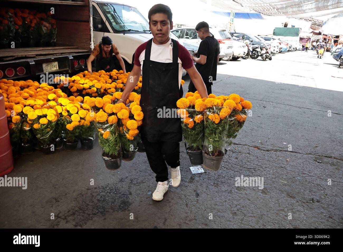Mexique, CDMX, Mexique. 21 octobre 2025. La plupart d’entre eux proviennent de Xochimilco et de l’état de Puebla, où ils sont récoltés sans pots. Des centaines ou des milliers de familles commenceront à arriver au marché jamaïcain, le principal marché aux fleurs, mais le plus important de cette saison. Ils viennent dans une variété de tailles et de prix ; les vendeurs offrent leurs fleurs aux clients afin qu'ils puissent les placer sur des autels dans leurs maisons où ils se souviennent de leurs proches, et avec la couleur et l'arôme des fleurs de Cempasuchil, ils peuvent leur rendre visite année après année. (Crédit image : © Josue Perez/ZUMA Press Wire) EDITORI Banque D'Images