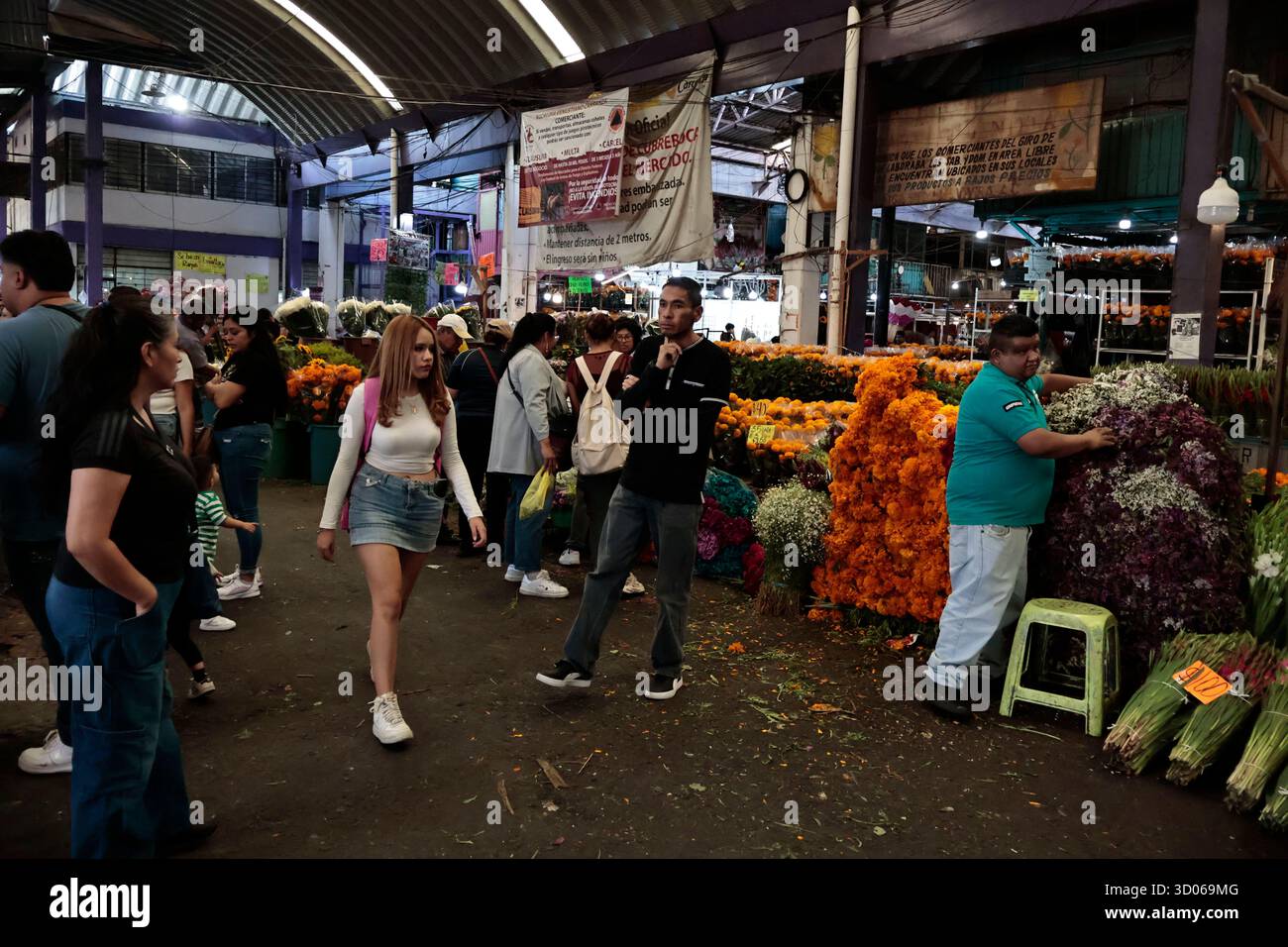 Mexique, CDMX, Mexique. 21 octobre 2025. La plupart d’entre eux proviennent de Xochimilco et de l’état de Puebla, où ils sont récoltés sans pots. Des centaines ou des milliers de familles commenceront à arriver au marché jamaïcain, le principal marché aux fleurs, mais le plus important de cette saison. Ils viennent dans une variété de tailles et de prix ; les vendeurs offrent leurs fleurs aux clients afin qu'ils puissent les placer sur des autels dans leurs maisons où ils se souviennent de leurs proches, et avec la couleur et l'arôme des fleurs de Cempasuchil, ils peuvent leur rendre visite année après année. (Crédit image : © Josue Perez/ZUMA Press Wire) EDITORI Banque D'Images