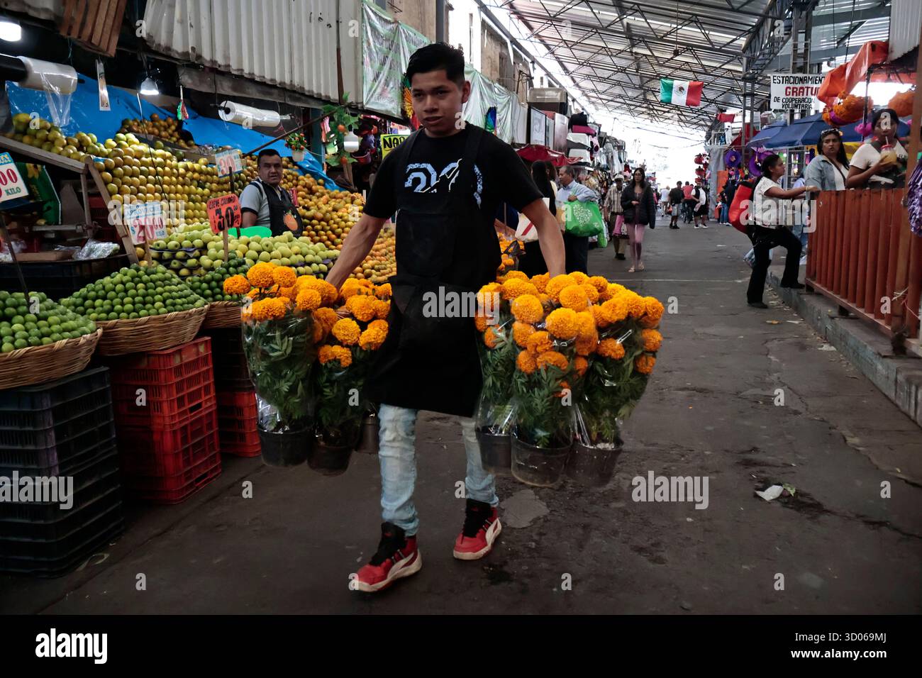 Mexique, CDMX, Mexique. 21 octobre 2025. La plupart d’entre eux proviennent de Xochimilco et de l’état de Puebla, où ils sont récoltés sans pots. Des centaines ou des milliers de familles commenceront à arriver au marché jamaïcain, le principal marché aux fleurs, mais le plus important de cette saison. Ils viennent dans une variété de tailles et de prix ; les vendeurs offrent leurs fleurs aux clients afin qu'ils puissent les placer sur des autels dans leurs maisons où ils se souviennent de leurs proches, et avec la couleur et l'arôme des fleurs de Cempasuchil, ils peuvent leur rendre visite année après année. (Crédit image : © Josue Perez/ZUMA Press Wire) EDITORI Banque D'Images
