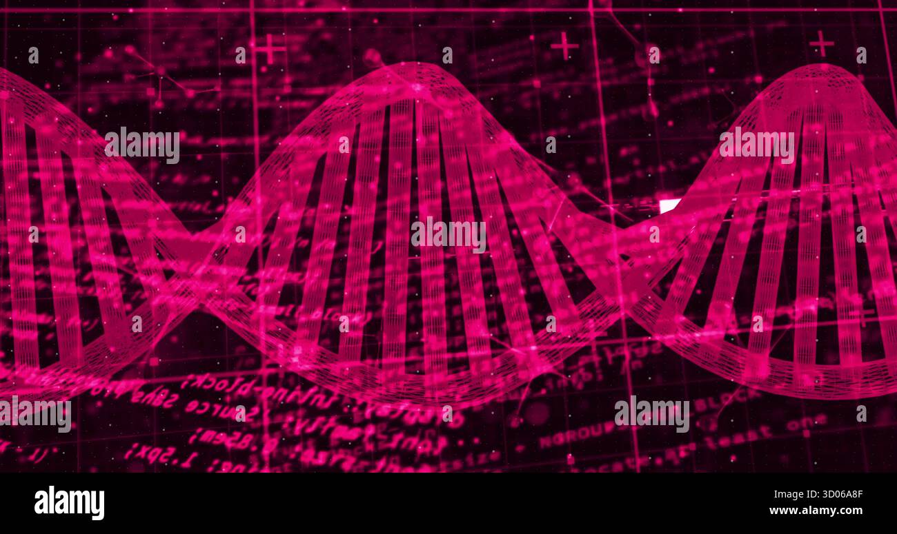 Double hélice numérique rose brillant planant dans l'interface virtuelle, avec des lignes de grille et des fragments de code Banque D'Images