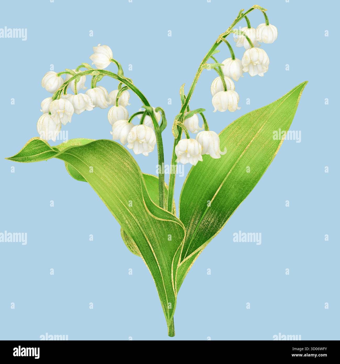 Lys blanc de la tige de la vallée avec des feuilles - illustration réaliste de l'aquarelle avec contour doré et pétales transparents " Banque D'Images