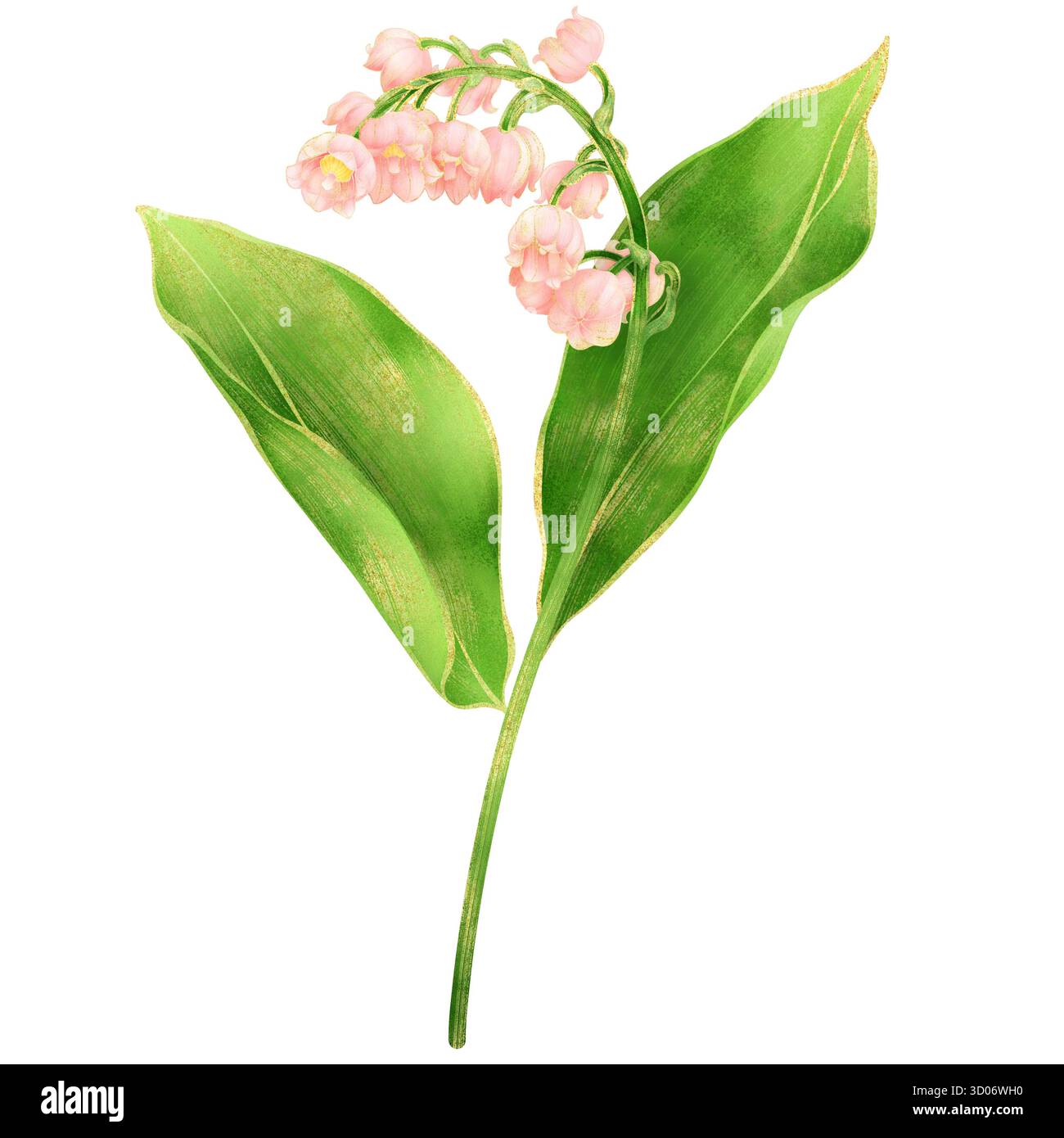 Rose Lily de la tige de la vallée avec des feuilles – illustration réaliste de l'aquarelle avec contour doré et pétales transparents Banque D'Images