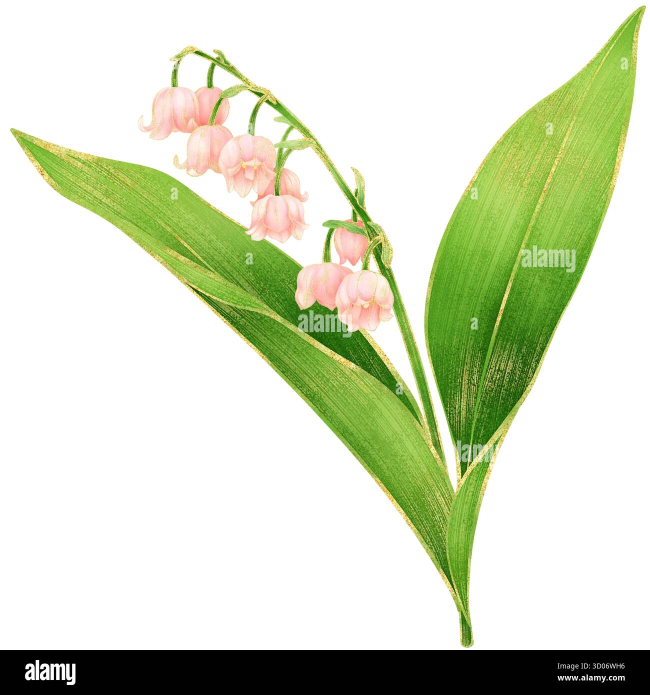 Rose Lily de la tige de la vallée avec des feuilles – illustration réaliste de l'aquarelle avec contour doré et pétales transparents Banque D'Images