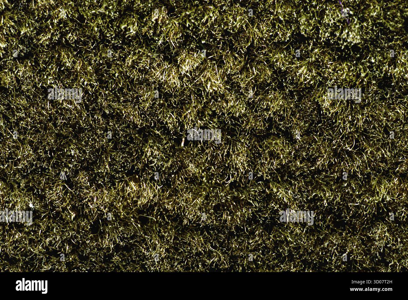 Texture de tapis brun avec long poil Banque D'Images