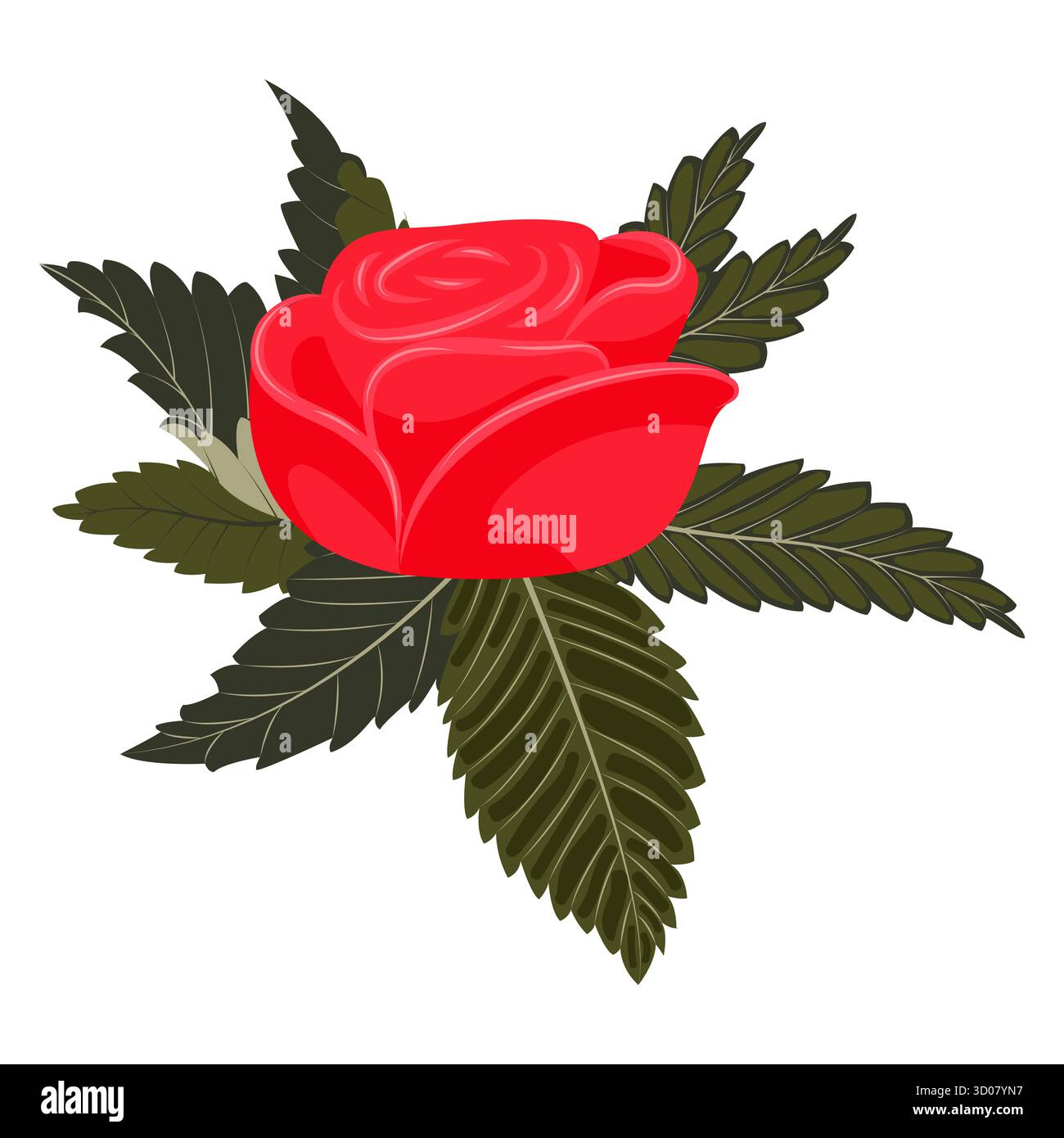 Une tête de rose rouge sur un coussin de feuillage. Illustration vectorielle sur un fond blanc. Illustration de Vecteur