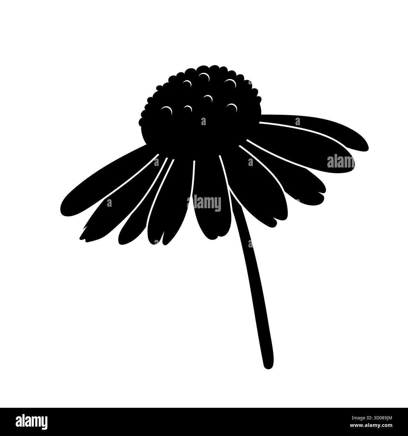 Silhouette vectorielle de fleur de camomille en vue latérale avec pétales ouverts et tige sur fond blanc, parfait pour le design naturel, le décor, et offerts Illustration de Vecteur