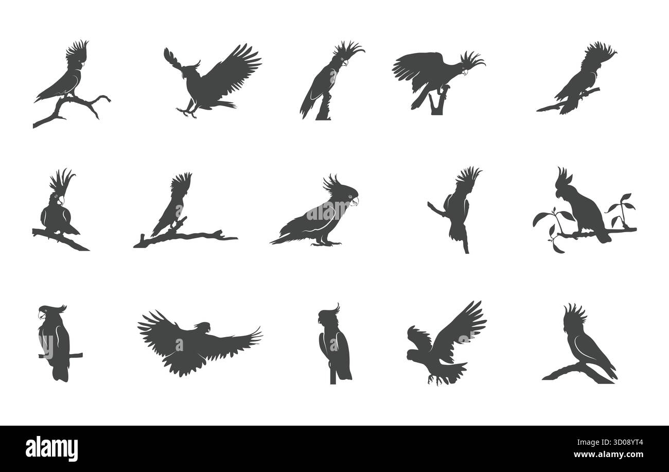 Cockatoo svg, silhouette de Cockatoo, dessin d'oiseaux Cockatoo, Cockatoo Parrot svg, Cockatoo vecteur, dessin Cockatoo. Illustration de Vecteur