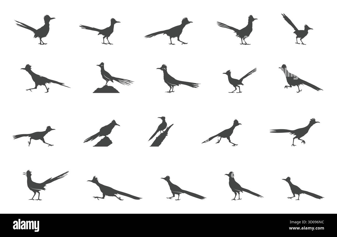 Roadrunner svg, plus grande silhouette roadrunner, plus grande roadrunner svg, Roadrunner silhouette oiseau, dessin Roadrunner. Illustration de Vecteur