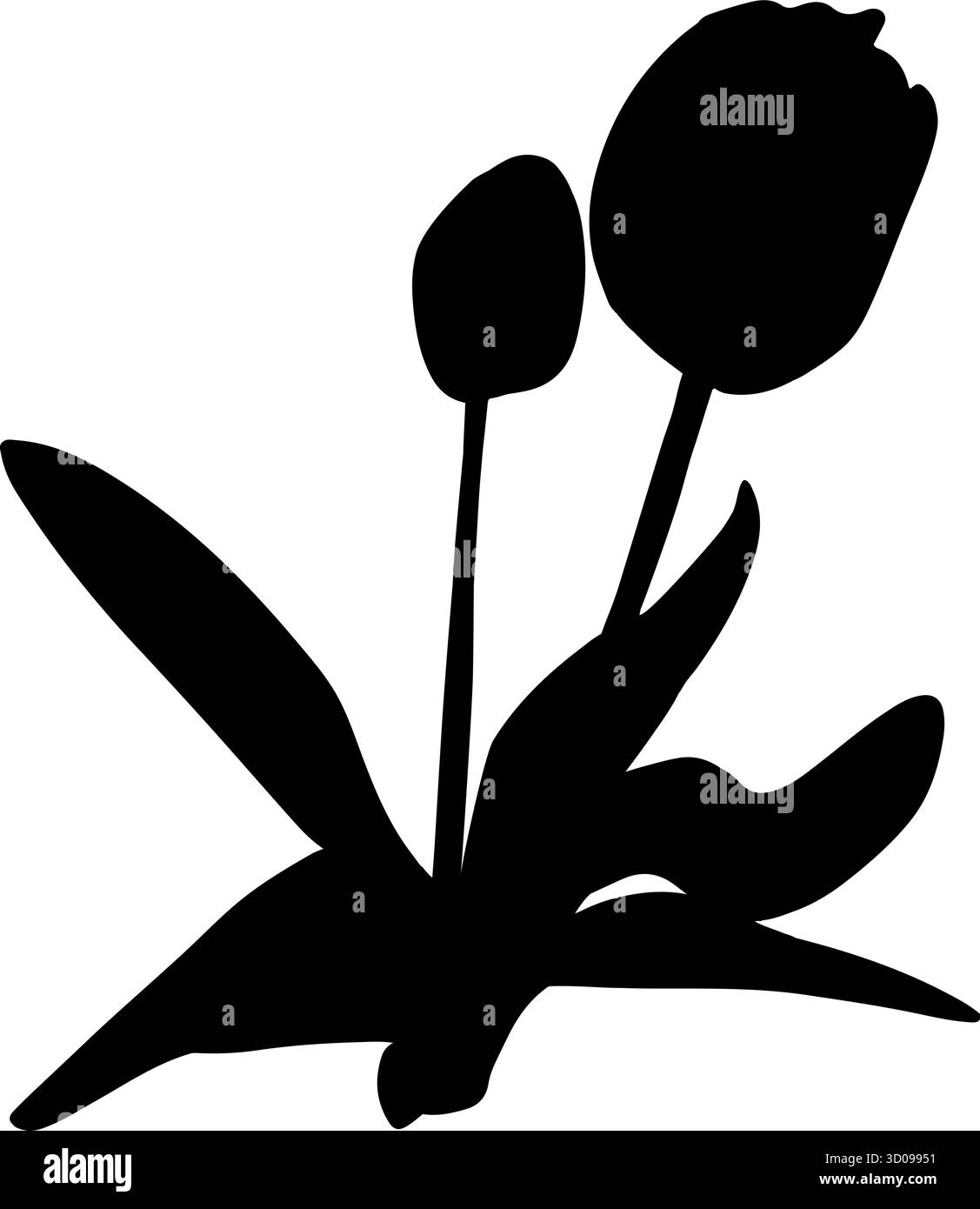 Illustration isolée vectorielle de la silhouette des tulipes Illustration de Vecteur