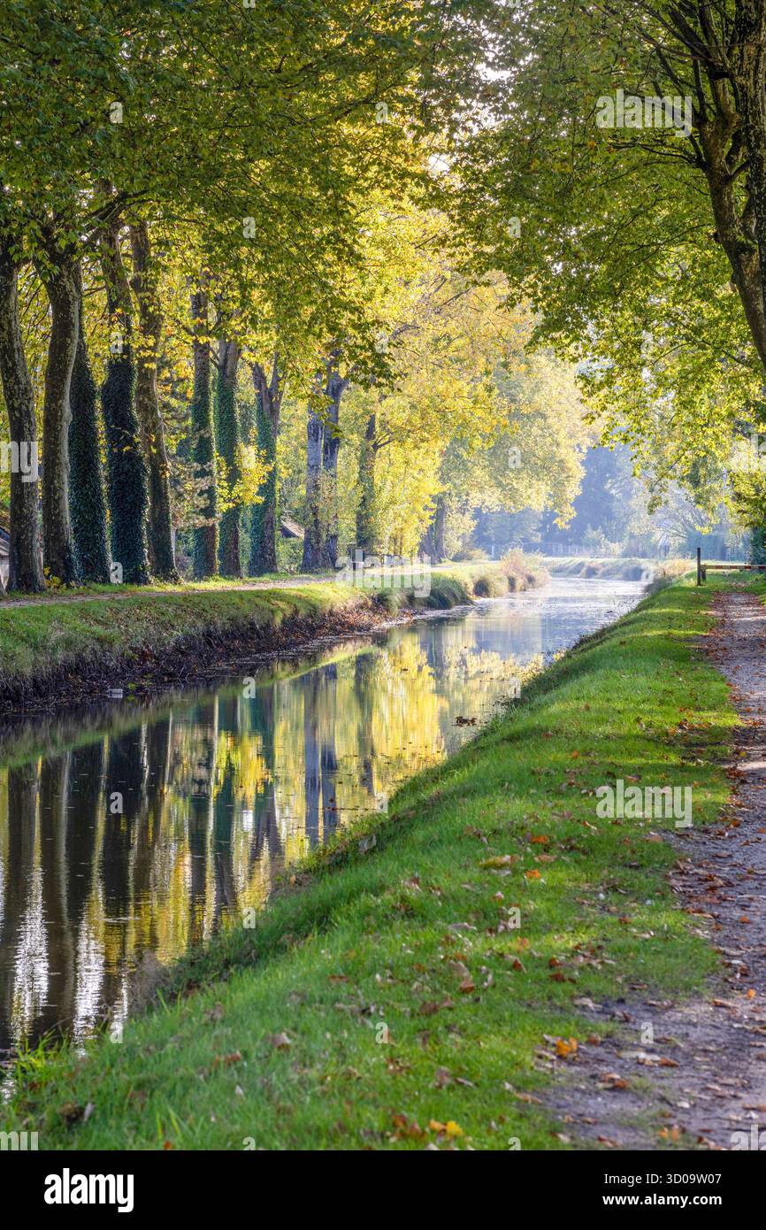France, Loir et cher, Lamotte-Beuvron, le canal de la Sauldre Banque D'Images France, Loir et cher, Lamotte-Beuvron, le canal de la Sauldre Banque D'Images