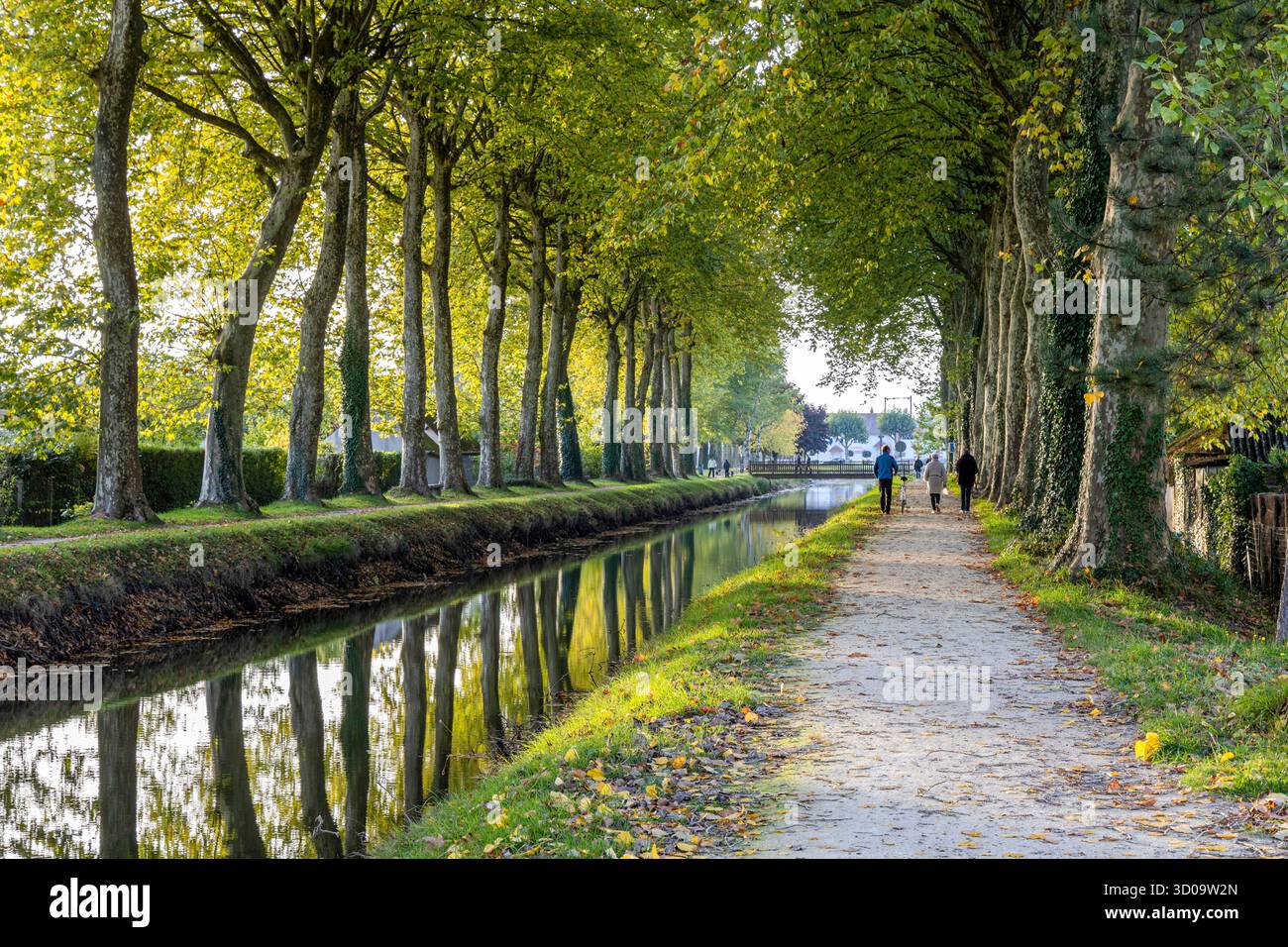 France, Loir et cher, Lamotte-Beuvron, le canal de la Sauldre Banque D'Images France, Loir et cher, Lamotte-Beuvron, le canal de la Sauldre Banque D'Images