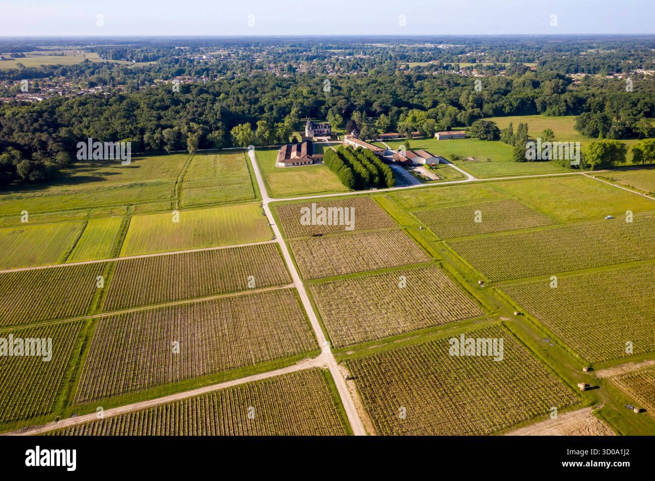 France, Gironde, Leognan, Château Olivier (vue aérienne) Banque D'Images