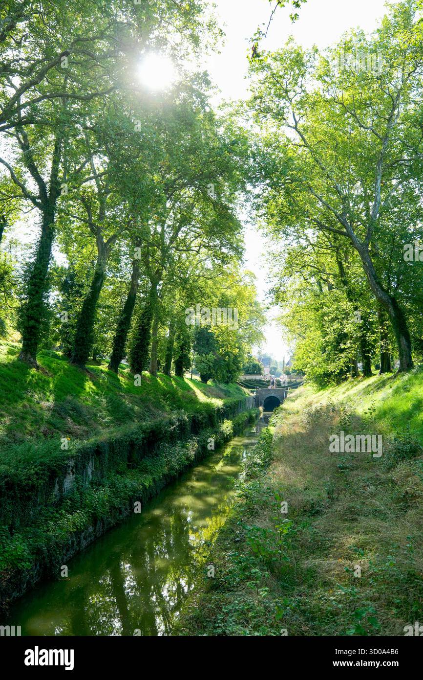 France, Côte d'Or, Pouilly en Auxois, l'arche du canal de Bourgogne est un tunnel de 3 333 mètres construit entre 1825 et 1832 Banque D'Images France, Côte d'Or, Pouilly en Auxois, l'arche du canal de Bourgogne est un tunnel de 3 333 mètres construit entre 1825 et 1832 Banque D'Images
