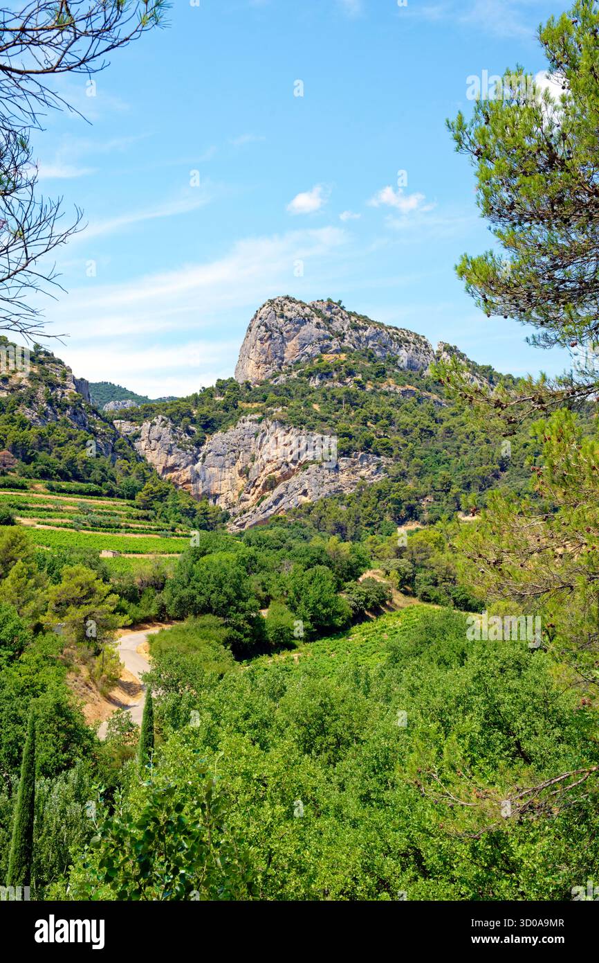 La France, Vaucluse, Dentelles de Montmirail mountains Banque D'Images
