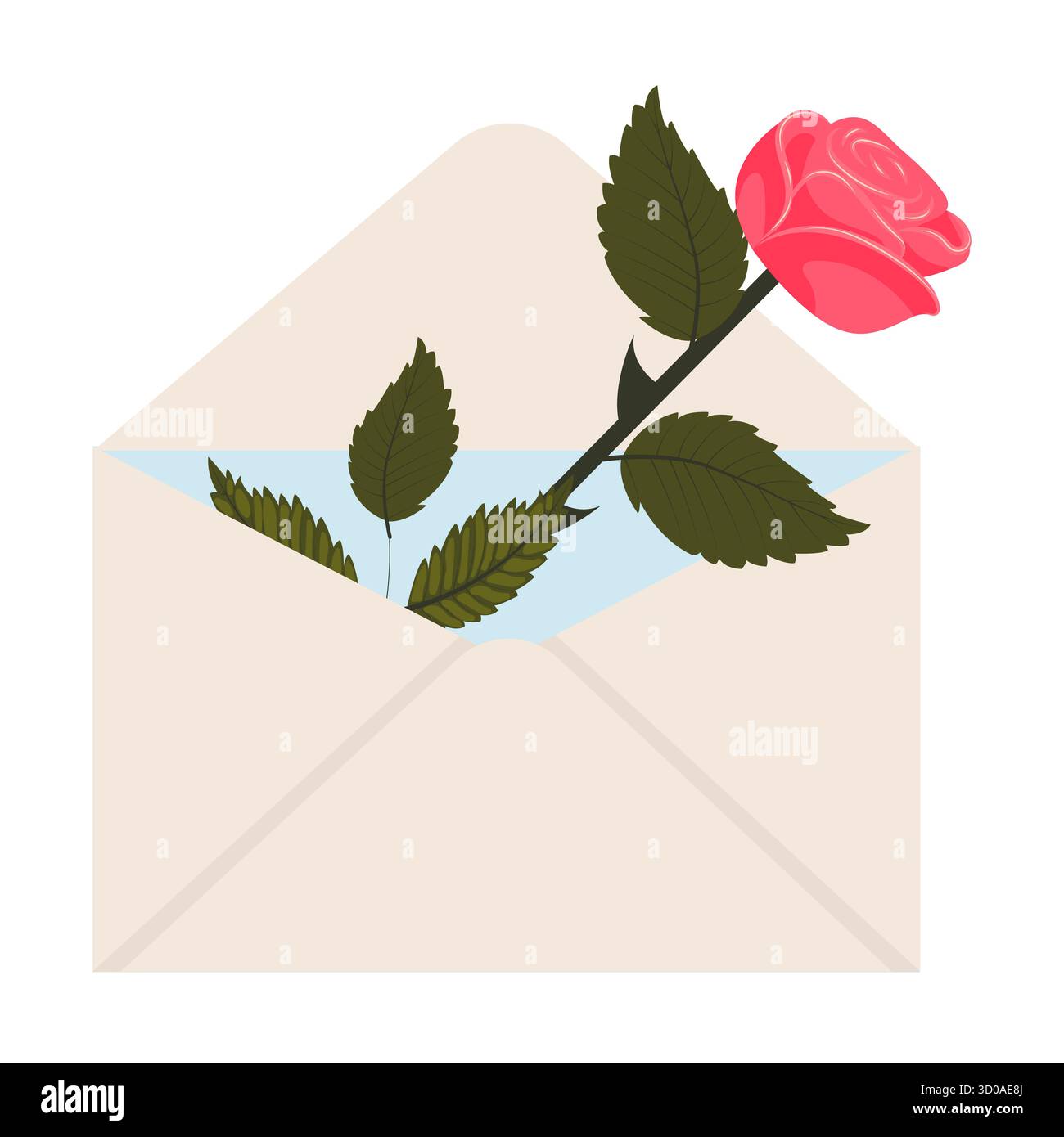 Rose rose vif. Une fleur rose dans une enveloppe postale. Illustration vectorielle sur un fond blanc. Illustration de Vecteur