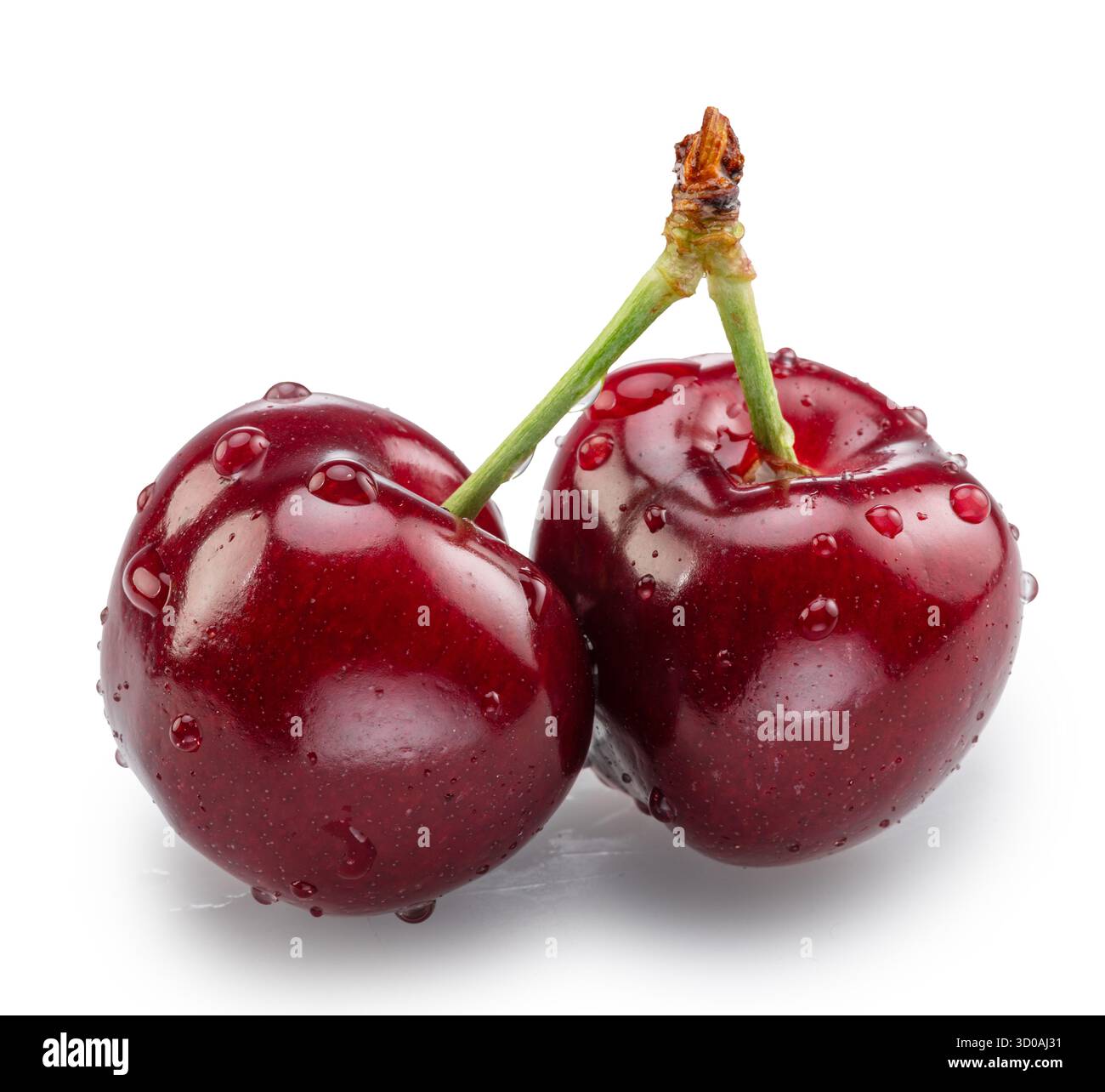 Cerises douces recouvertes de gouttes d'eau isolées sur fond blanc. Le fichier contient des chemins de détourage. Banque D'Images
