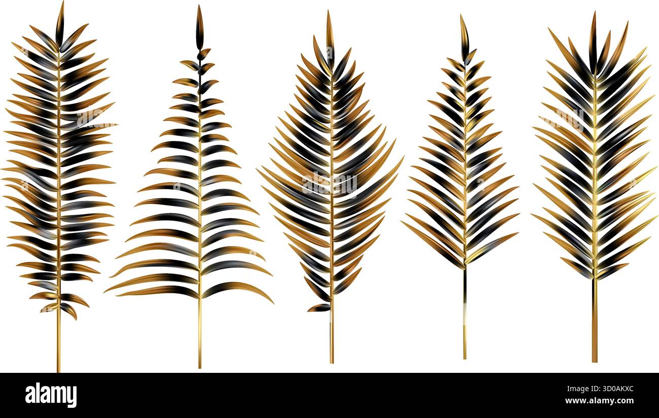 Feuilles de palmier dorées et noires. Branche d'arbre exotique de vecteur isolée sur fond blanc. Ensemble de feuillage réaliste. Décoration abstraite pour invitation de luxe Illustration de Vecteur
