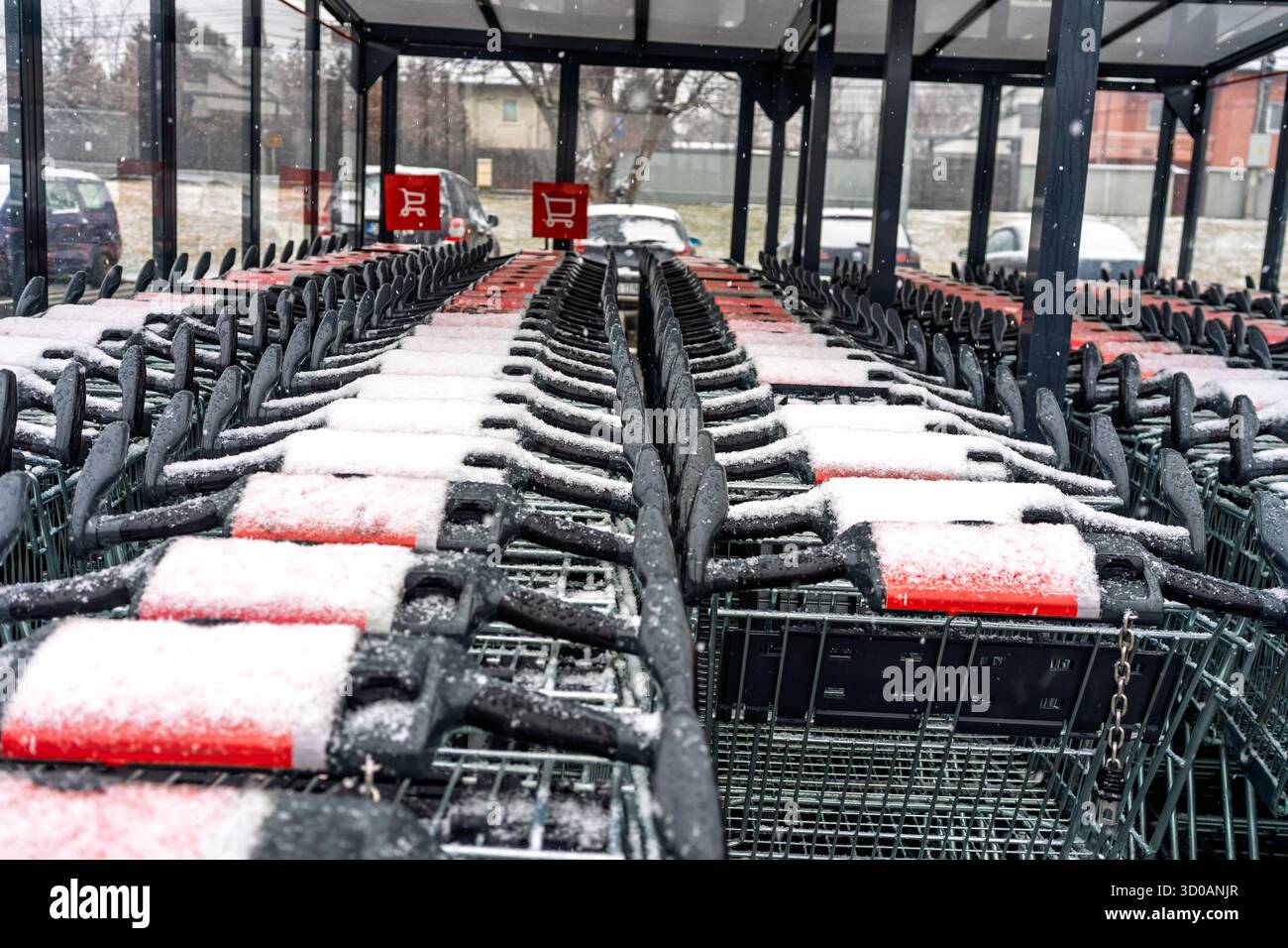 Panneaux publicitaires sur les chariots pour l'épicerie du supermarché Kaufland Banque D'Images