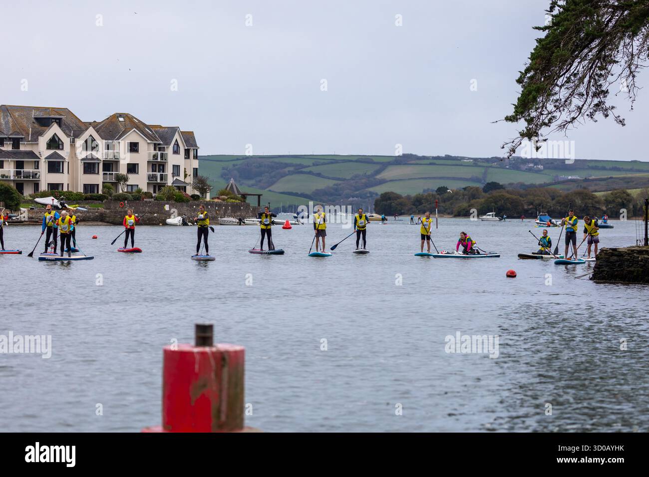 Les concurrents participent à la course de distance SUP The Creek le samedi 18 octobre 2025. L'endurance SUP Race sur l'estuaire de Kingsbridge Banque D'Images