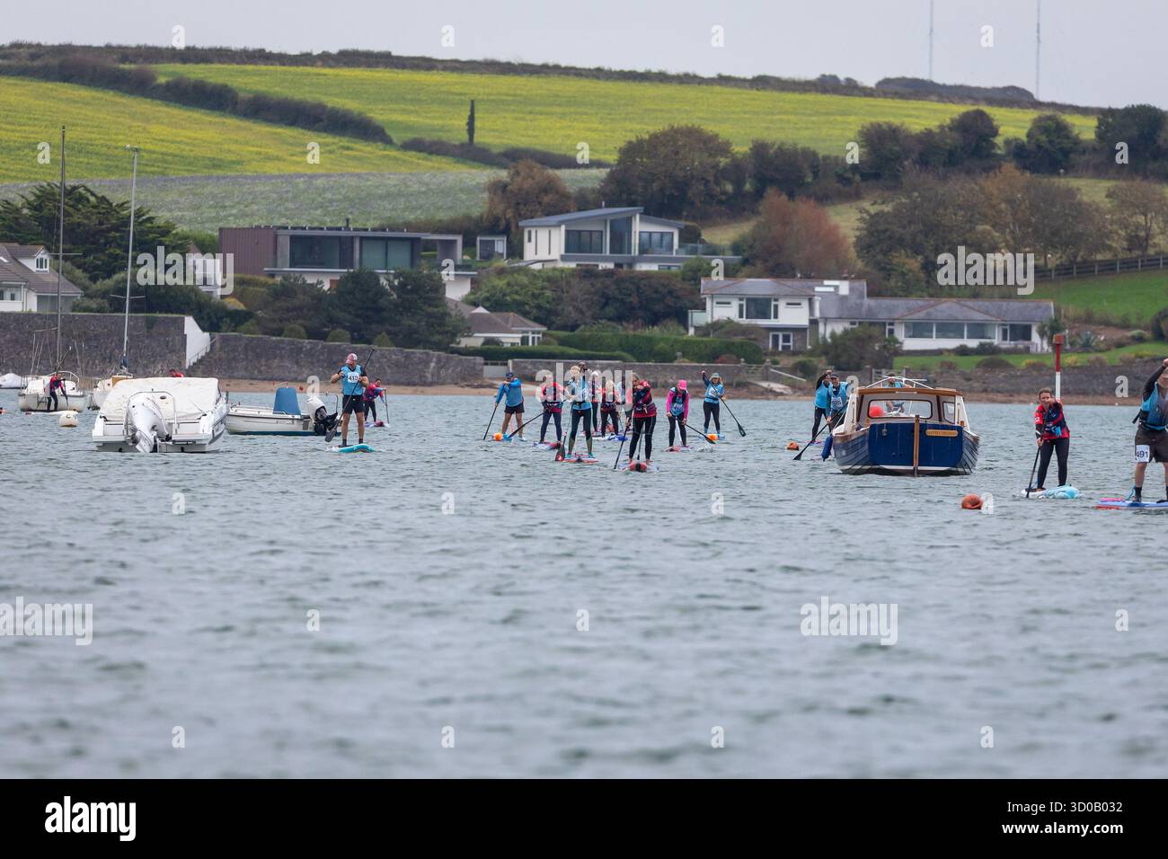 Les concurrents participent à la course de distance SUP The Creek le samedi 18 octobre 2025. L'endurance SUP Race sur l'estuaire de Kingsbridge Banque D'Images