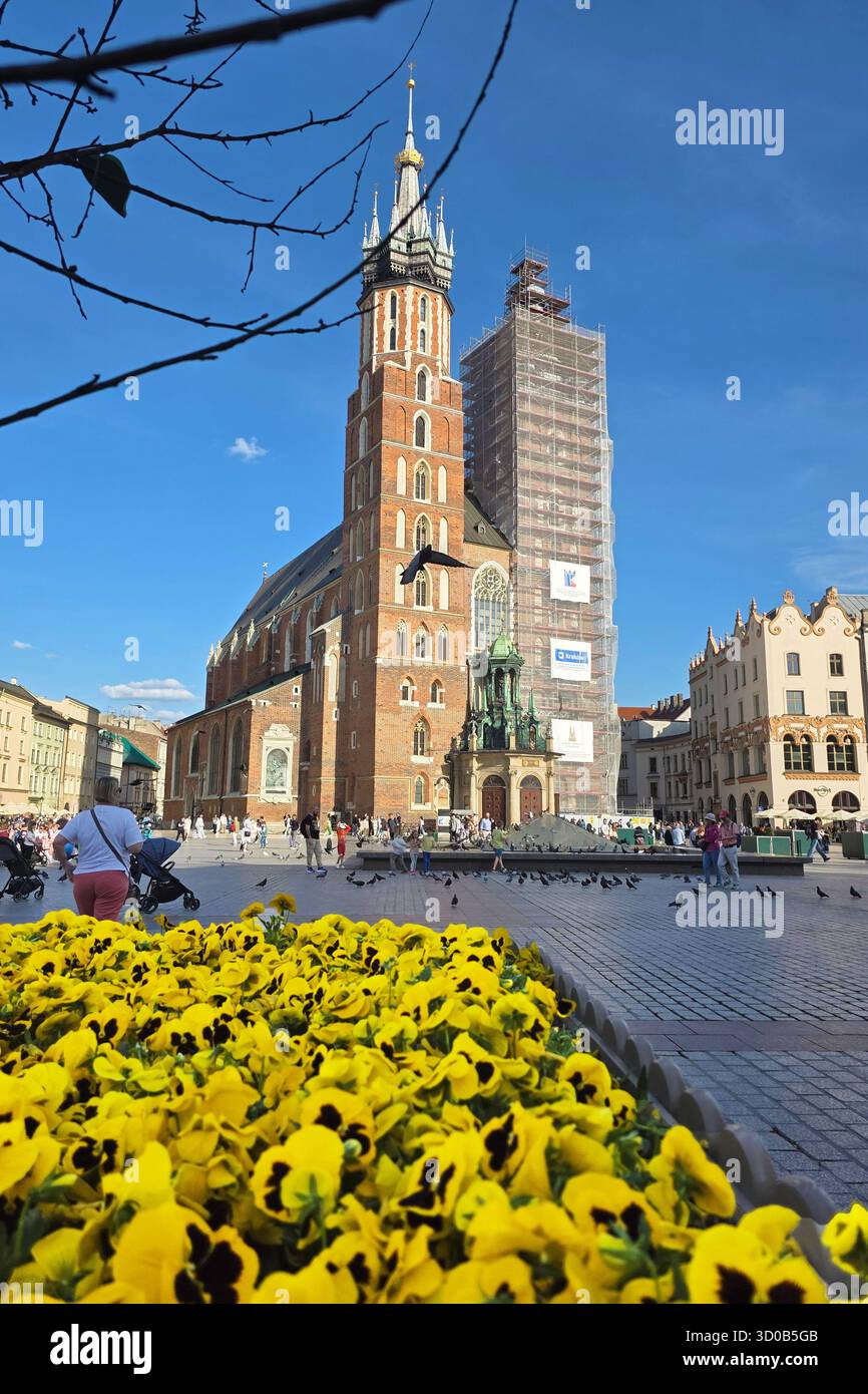Cracovie, Pologne - 23 avril 2025 : vue sur la basilique de Marie Banque D'Images Cracovie, Pologne - 23 avril 2025 : vue sur la basilique de Marie Banque D'Images